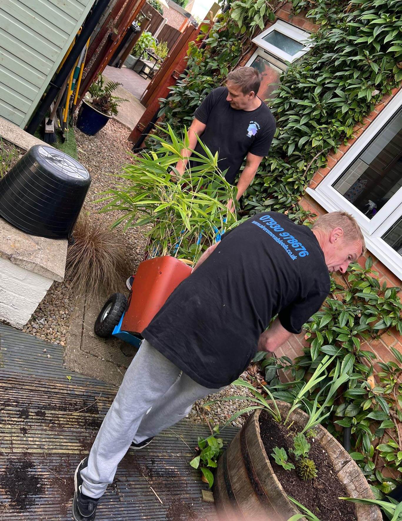 Professional removal services