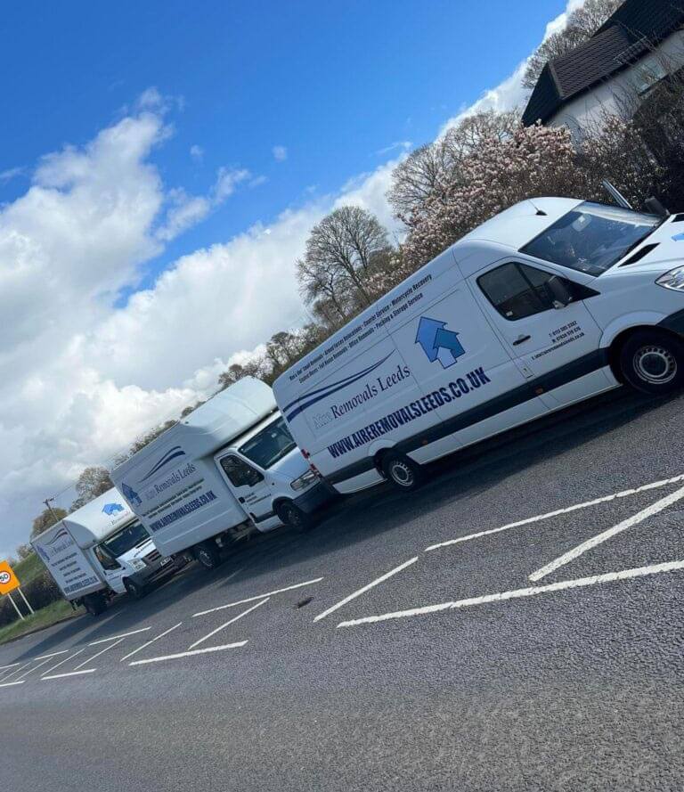 Professional moving team